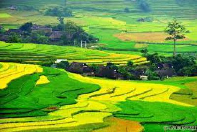 CÔNG VĂN 4040 CỦA BỘ GIÁO DỤC VÀ ĐÀO TẠO